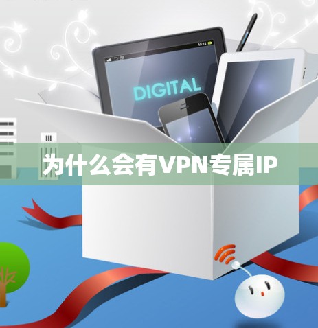 为什么会有VPN专属IP