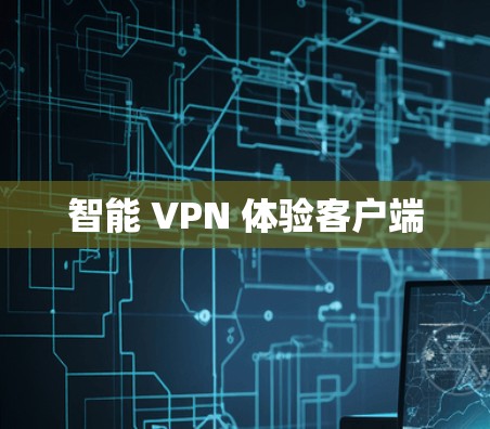智能 VPN 体验客户端