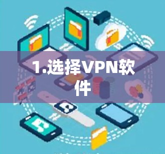 1.选择VPN软件